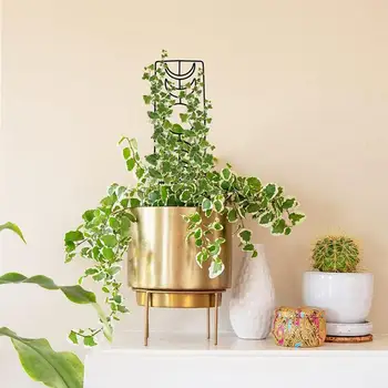 Креативная подставка для растений Опорный столб для растений высокой твердости, простой в установке, фиксирующий металлический железный опорный столб для растений Изображение